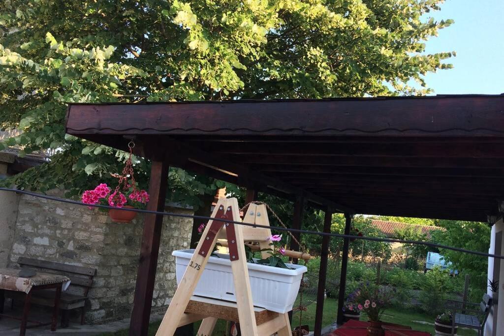 Kostadinovi * Bŭlgarevo