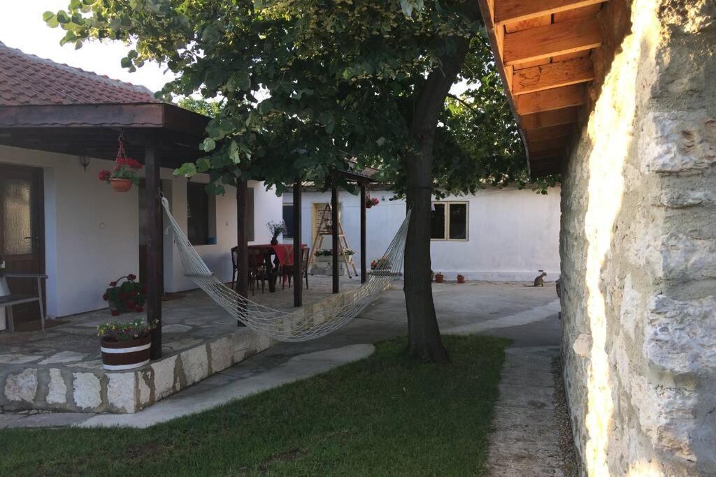 Kostadinovi * Bŭlgarevo