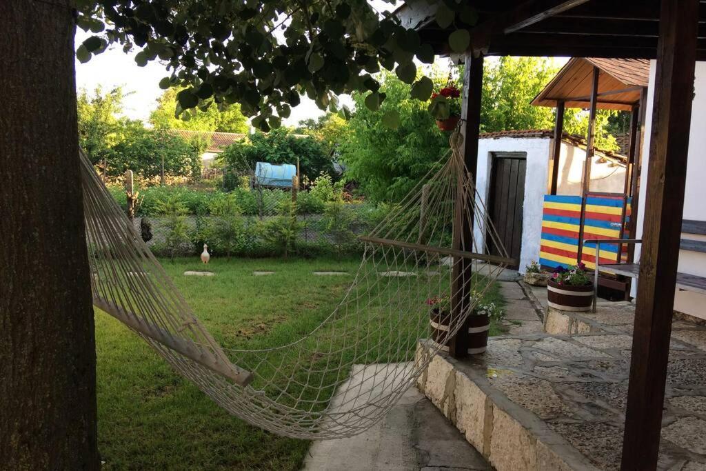 Kostadinovi *
